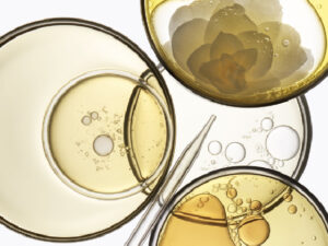 Four petri dishes filled with translucent golden liquids and bubbles, one with a flower imprint, are arranged against a light background. Two glass droppers lie across the dishes, suggesting a scientific or cosmetic context.